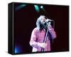 Counting Crows-null-Framed Stretched Canvas