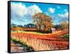 Country Barn, 2014-Tilly Willis-Framed Stretched Canvas
