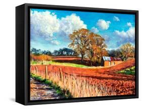 Country Barn, 2014-Tilly Willis-Framed Stretched Canvas