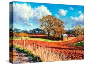 Country Barn, 2014-Tilly Willis-Stretched Canvas