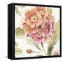 Country Bloom VI-Lisa Audit-Framed Stretched Canvas