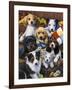 Country Bumpkin Puppies-Jenny Newland-Framed Giclee Print