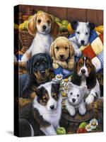 Country Bumpkin Puppies-Jenny Newland-Stretched Canvas