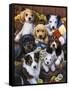 Country Bumpkin Puppies-Jenny Newland-Framed Stretched Canvas