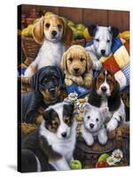 Country Bumpkin Puppies-Jenny Newland-Stretched Canvas