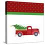 Country Christmas I-Andi Metz-Stretched Canvas