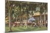 Country Club, Orlando, Florida-null-Mounted Premium Giclee Print