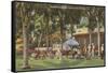 Country Club, Orlando, Florida-null-Framed Stretched Canvas