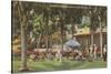 Country Club, Orlando, Florida-null-Stretched Canvas