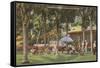 Country Club, Orlando, Florida-null-Framed Stretched Canvas