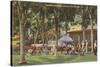 Country Club, Orlando, Florida-null-Stretched Canvas