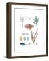 Country Cluster-Sandra Jacobs-Framed Giclee Print