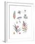 Country Compilation-Sandra Jacobs-Framed Giclee Print