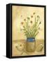 Country Daisy I-Vanna Lam-Framed Stretched Canvas