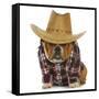 Country Dog - English Bulldog Puppy Dressed Up In Western Clothes And Hat On White Background-Willee Cole-Framed Stretched Canvas