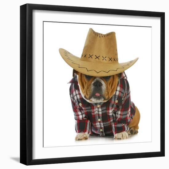 Country Dog - English Bulldog Puppy Dressed Up In Western Clothes And Hat On White Background-Willee Cole-Framed Photographic Print