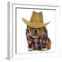 Country Dog - English Bulldog Puppy Dressed Up In Western Clothes And Hat On White Background-Willee Cole-Framed Photographic Print