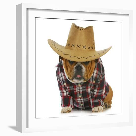 Country Dog - English Bulldog Puppy Dressed Up In Western Clothes And Hat On White Background-Willee Cole-Framed Photographic Print