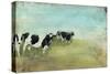 Country Drive Cows II-Naomi McCavitt-Stretched Canvas