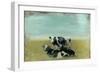 Country Drive Cows III-Naomi McCavitt-Framed Art Print