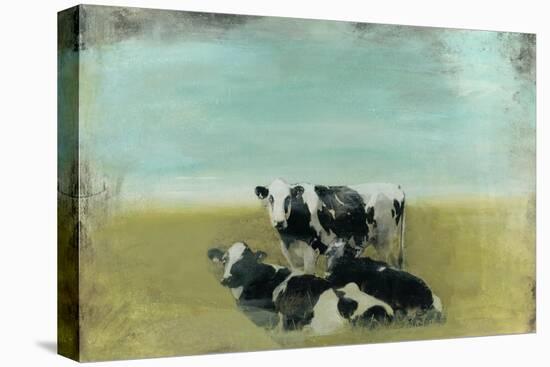 Country Drive Cows III-Naomi McCavitt-Stretched Canvas