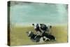 Country Drive Cows III-Naomi McCavitt-Stretched Canvas