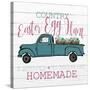 Country Egg Hunt-Kimberly Allen-Stretched Canvas