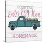 Country Egg Hunt-Kimberly Allen-Stretched Canvas