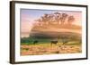 Country Farm and Morning Light, Rural Scene, Mist and Fog, Petaluma-Vincent James-Framed Photographic Print