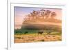 Country Farm and Morning Light, Rural Scene, Mist and Fog, Petaluma-Vincent James-Framed Photographic Print