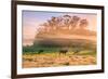 Country Farm and Morning Light, Rural Scene, Mist and Fog, Petaluma-Vincent James-Framed Photographic Print