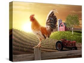 Country Farm Morning-jgroup-Stretched Canvas