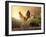 Country Farm Morning-jgroup-Framed Photographic Print