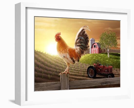 Country Farm Morning-jgroup-Framed Photographic Print