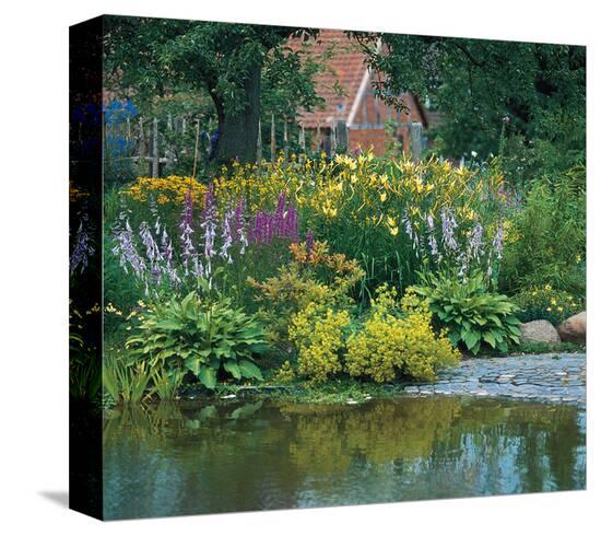 Country Flower Garden--Stretched Canvas