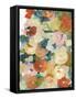 Country Flowers II-Jodi Fuchs-Framed Stretched Canvas