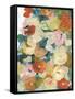 Country Flowers II-Jodi Fuchs-Framed Stretched Canvas