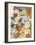 Country Flowers II-Jodi Fuchs-Framed Art Print