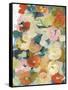 Country Flowers II-Jodi Fuchs-Framed Stretched Canvas