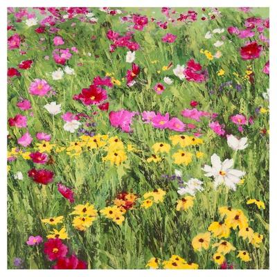 'Country Flowers' Prints - Silvia Mei | AllPosters.com