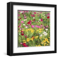 Country Flowers-Silvia Mei-Framed Art Print