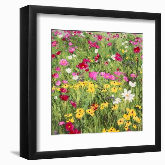 Country Flowers-Silvia Mei-Framed Art Print