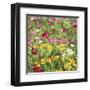 Country Flowers-Silvia Mei-Framed Art Print