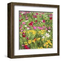 Country Flowers-Silvia Mei-Framed Art Print