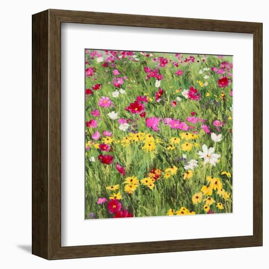 Country Flowers-Silvia Mei-Framed Art Print