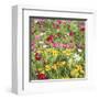 Country Flowers-Silvia Mei-Framed Art Print