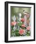 Country Garden-William Vanderdasson-Framed Giclee Print