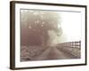 Country Haze-Assaf Frank-Framed Giclee Print