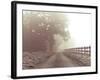 Country Haze-Assaf Frank-Framed Giclee Print