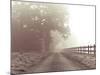 Country Haze-Assaf Frank-Mounted Giclee Print